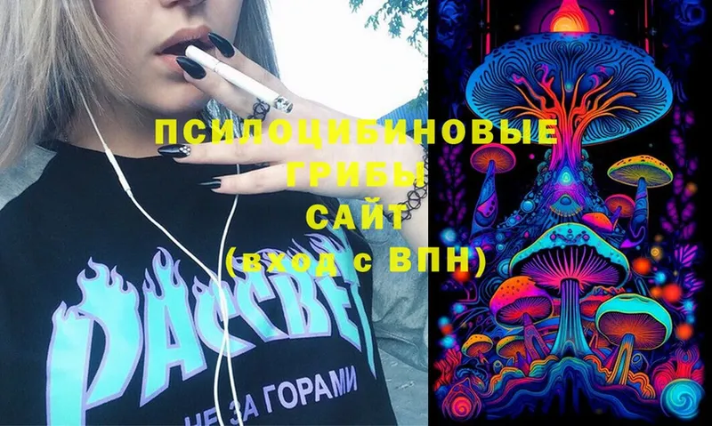 Галлюциногенные грибы Psilocybine cubensis  купить   Инсар 